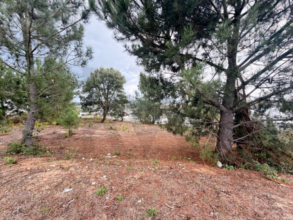 Helårsgrund i Rio Maior, Santarem - foto 3