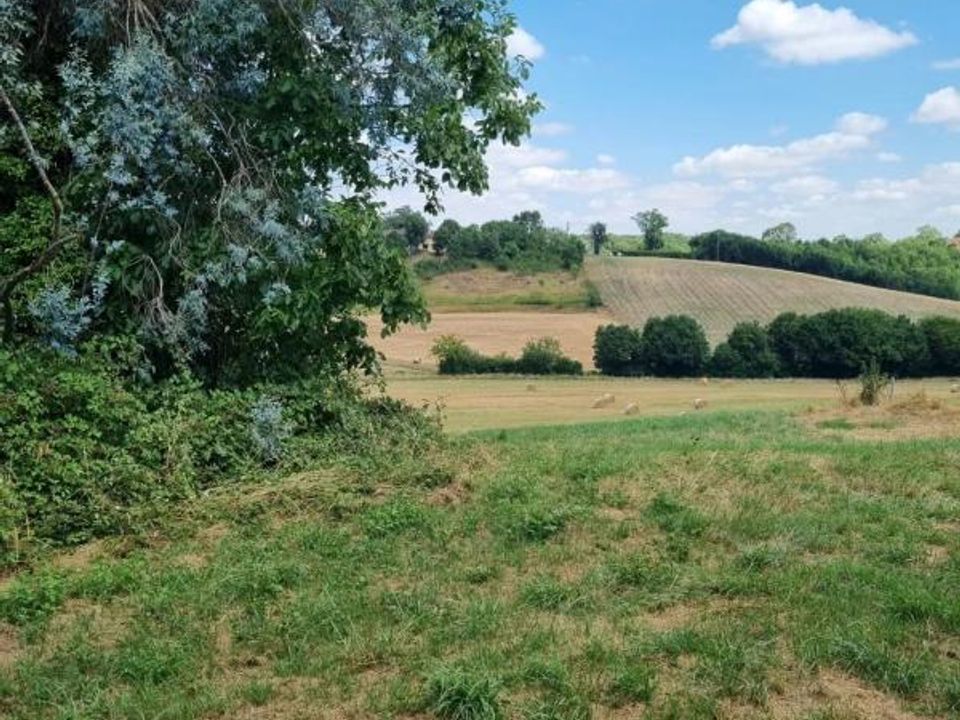 Farm i Seissan, Gers - foto 5