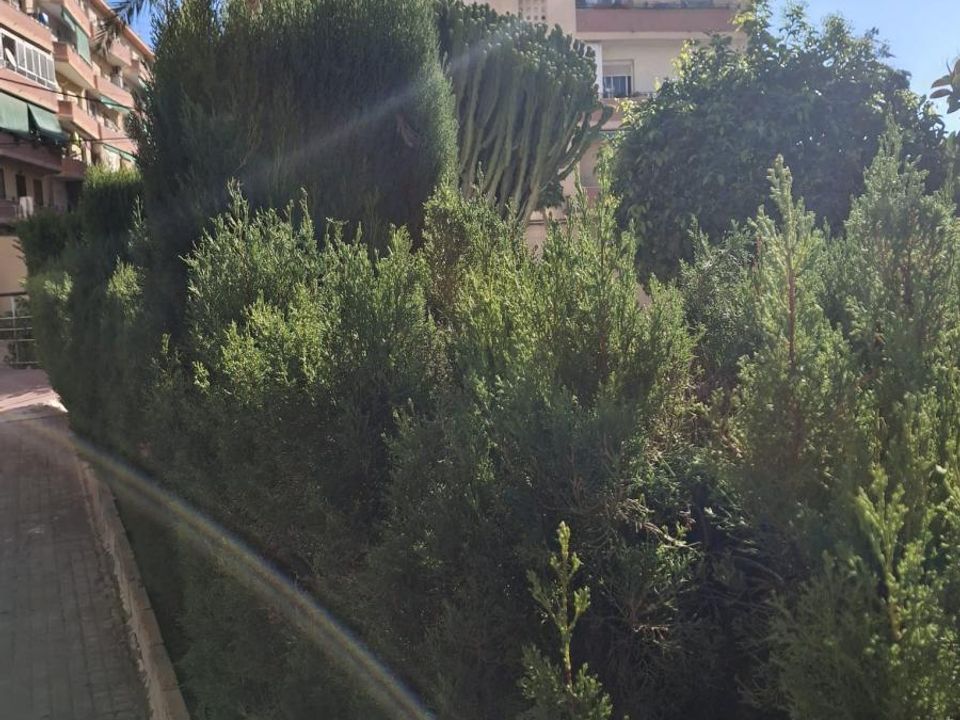 Appartement - Alicante, Alicante - photo 3