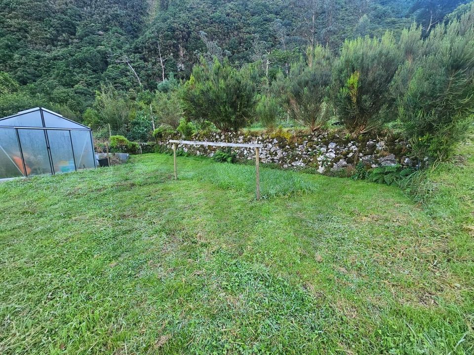 Helårsgrund i Porto Moniz, Madeira - foto 3