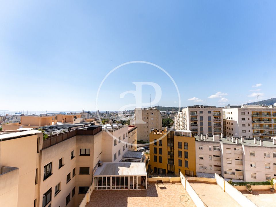 Lejlighed i Palma De Mallorca, Mallorca - foto 5
