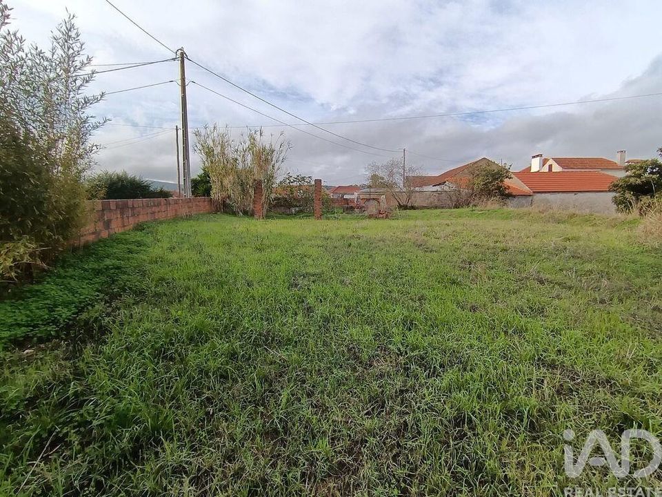 Byhus i Torres Novas, Santarem - foto 5