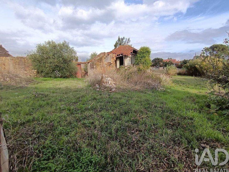 Byhus i Torres Novas, Santarem - foto 4