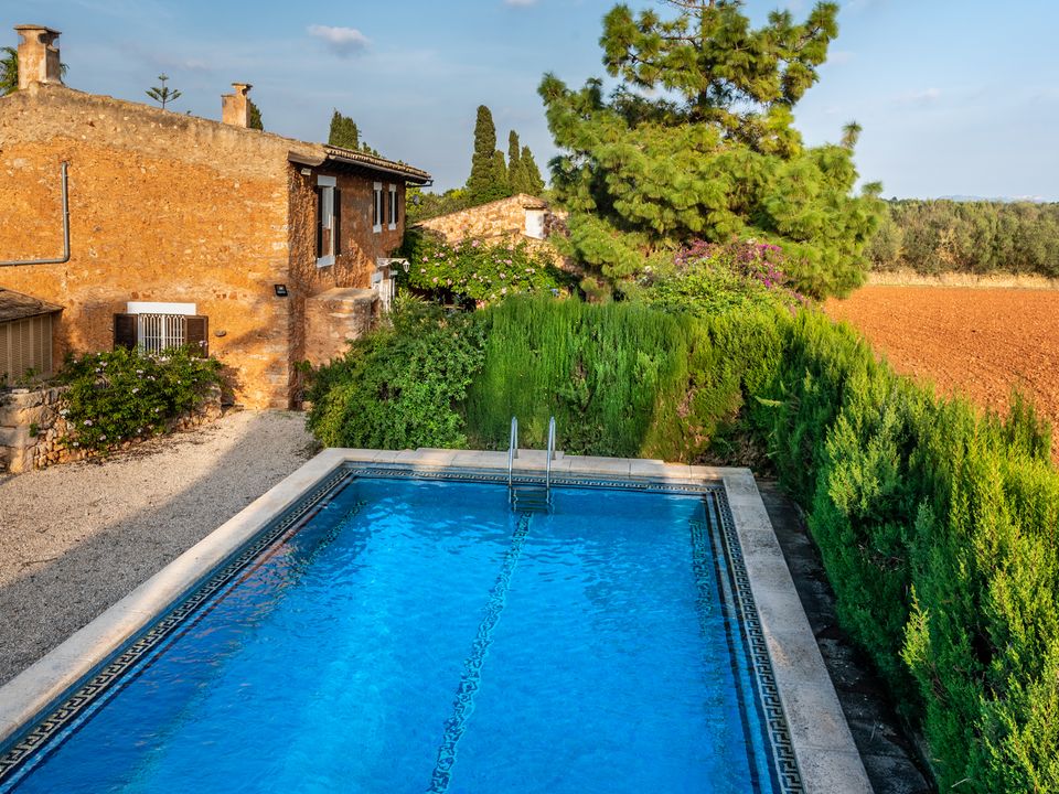 Finca i Felanitx, Mallorca - foto 2