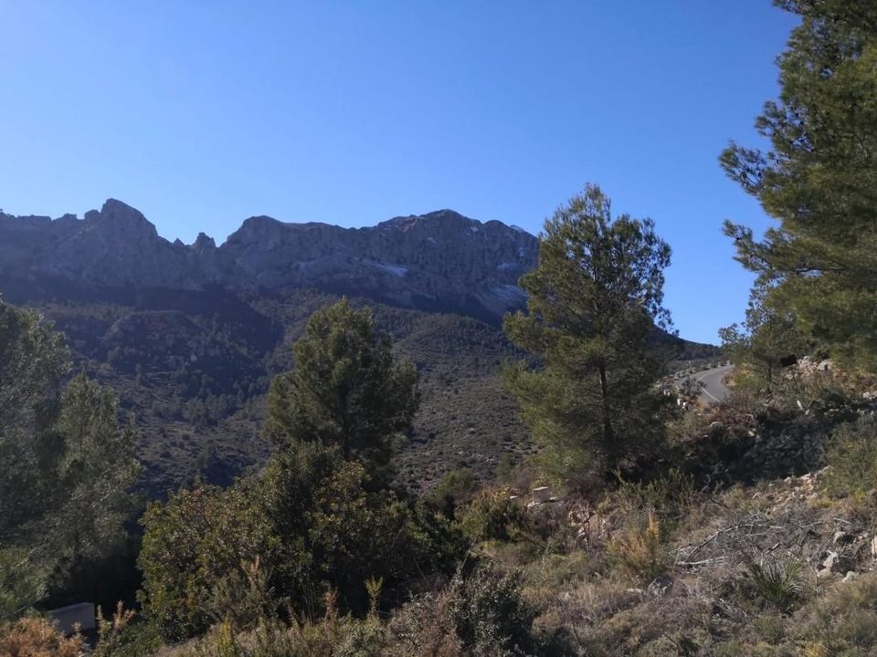Helårsgrund i Jalon, Alicante - foto 2