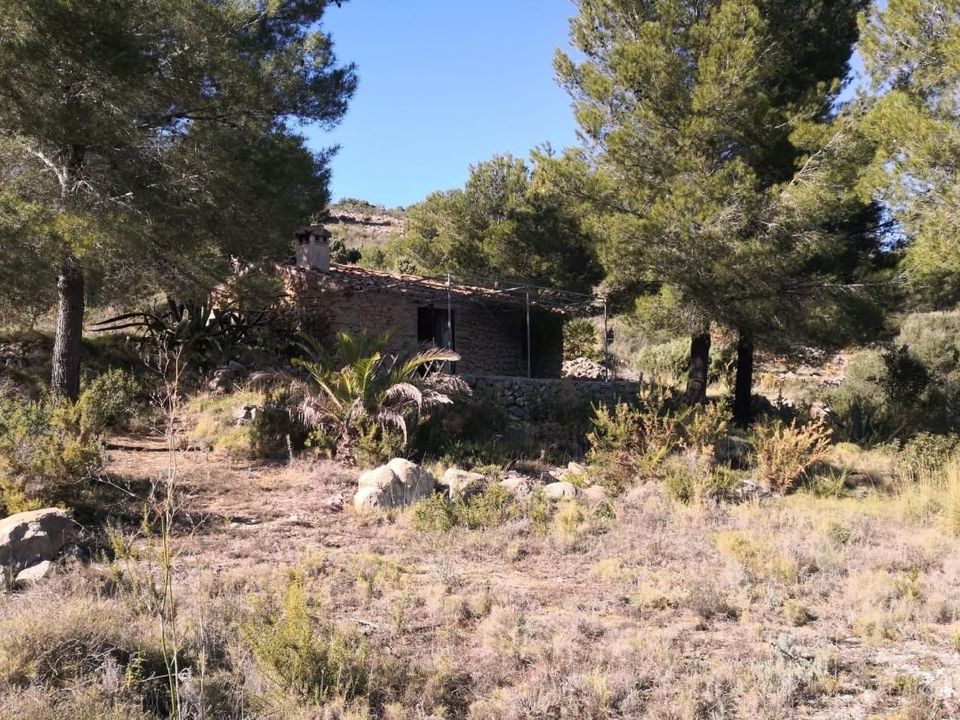 Helårsgrund i Jalon, Alicante - foto 3