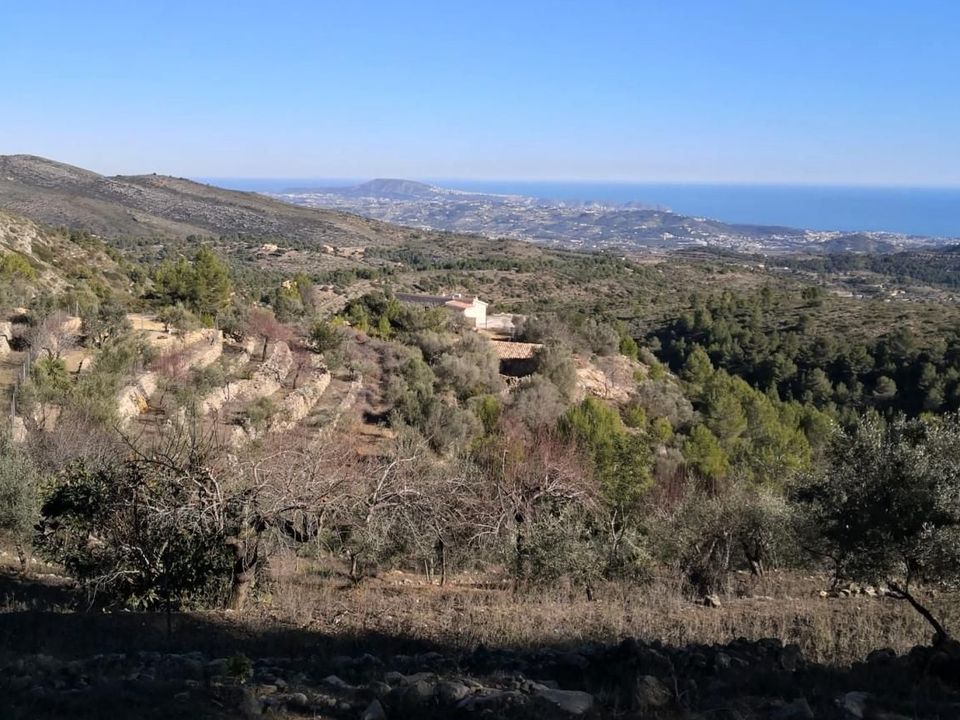 Helårsgrund i Jalon, Alicante - foto 4