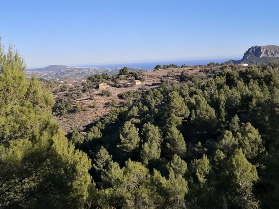 Helårsgrund i Jalon, Alicante - foto 5