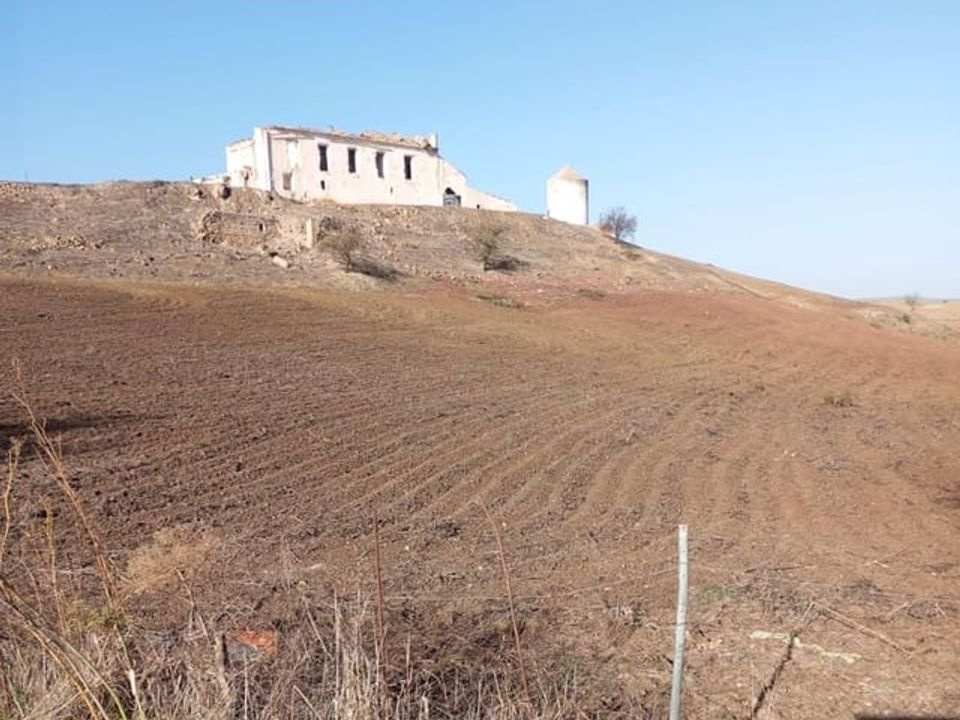 Finca i Malaga city, Malaga - foto 2