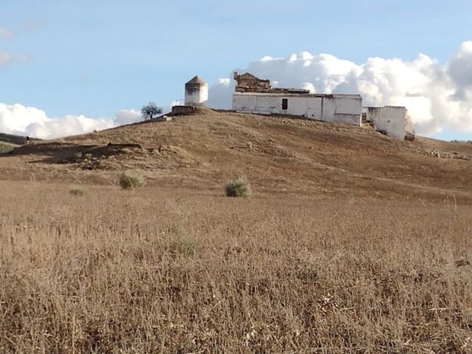 Finca i Malaga city, Malaga - foto 3