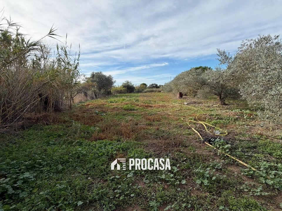Finca i Roses, Gerona - foto 2