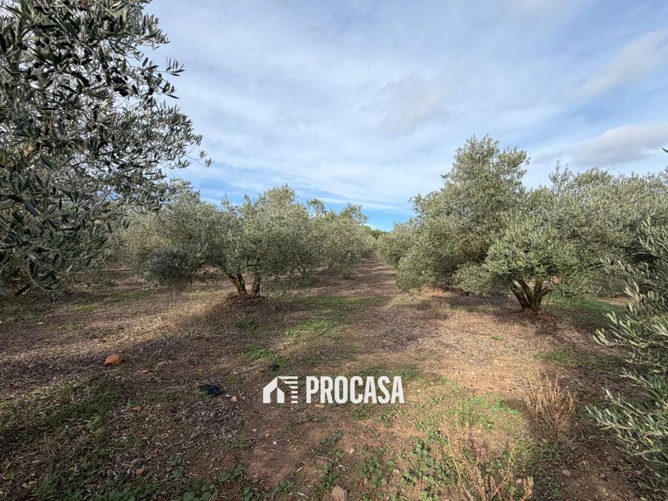 Finca i Roses, Gerona - foto 3