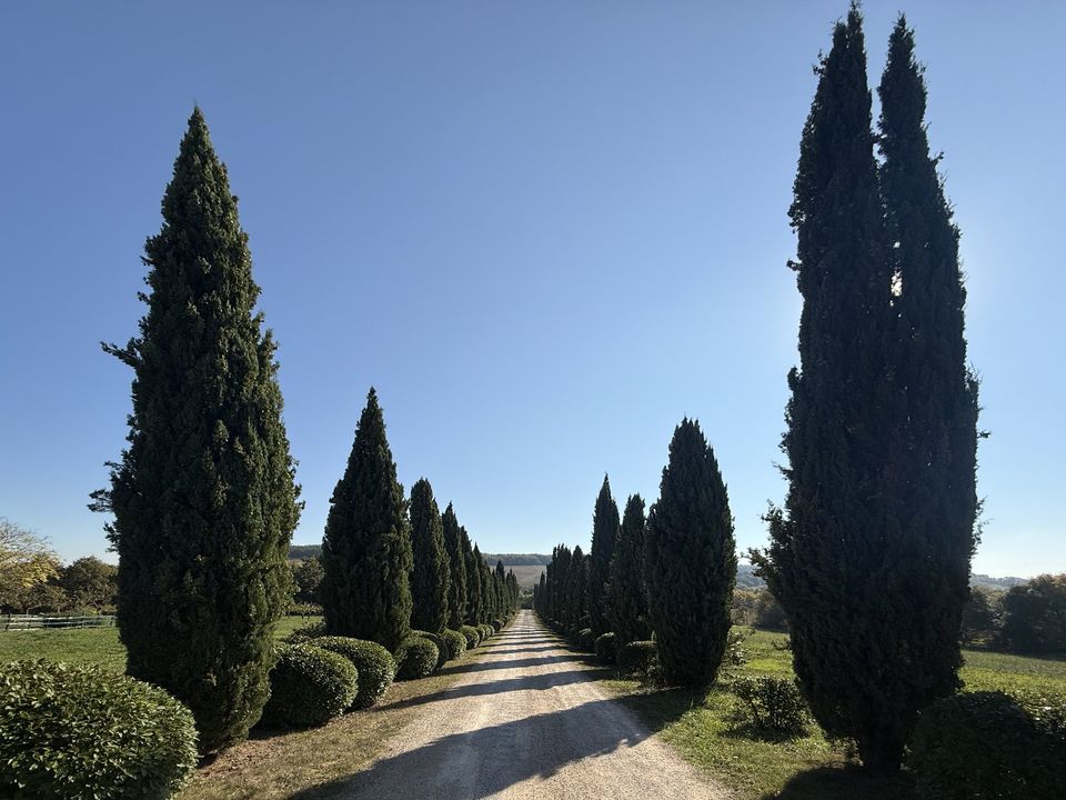 Villa i Vic-Fezensac, Gers - foto 3