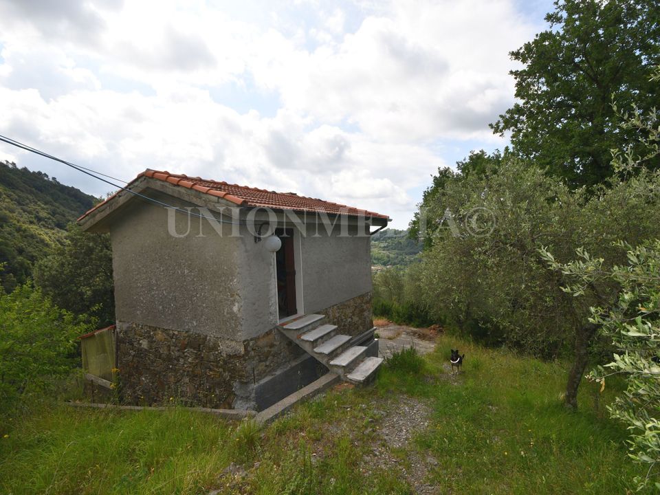 Villa i Fosdinovo, Massa and Carrara - foto 3