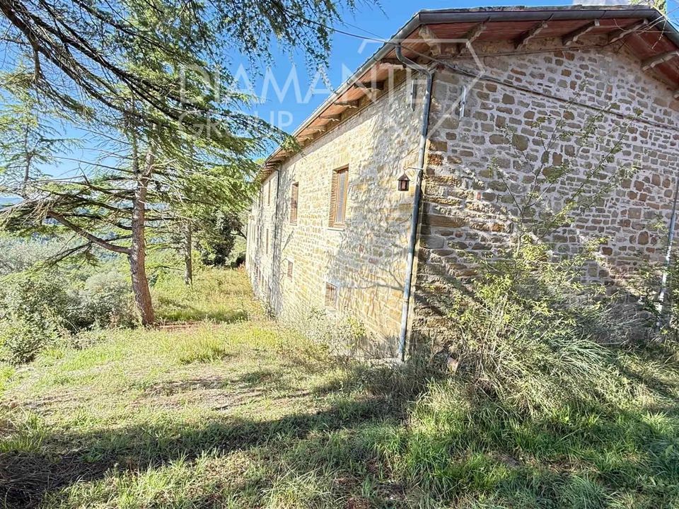Gård i Gubbio, Perugia - bilde 4