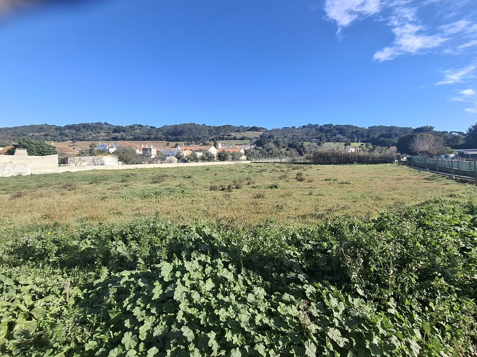 Helårsgrund i Brejos de Azeitao, Setubal - foto 3