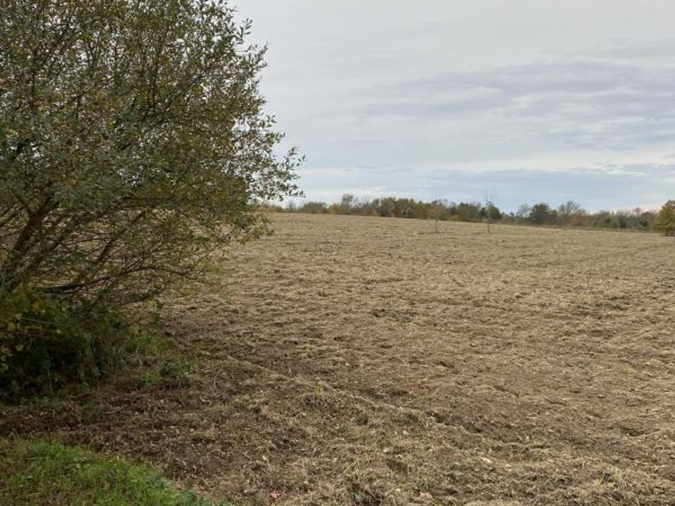 Helårsgrund i Saint-Sébastien-sur-Loire, Loire-Atlantique - foto 1