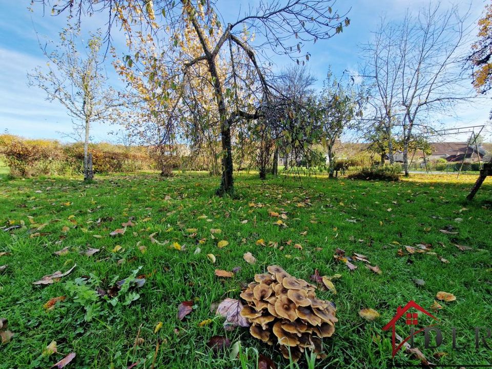 Landejendom i Terre-Natale, Haute-Marne - foto 2
