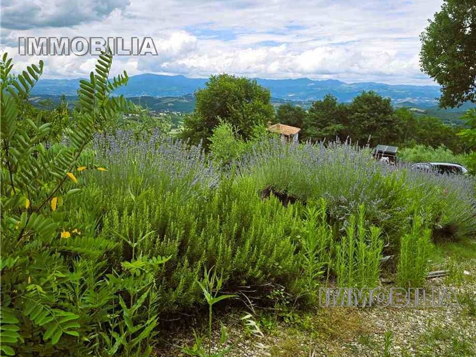 Landejendom i Monterchi, Arezzo - foto 5