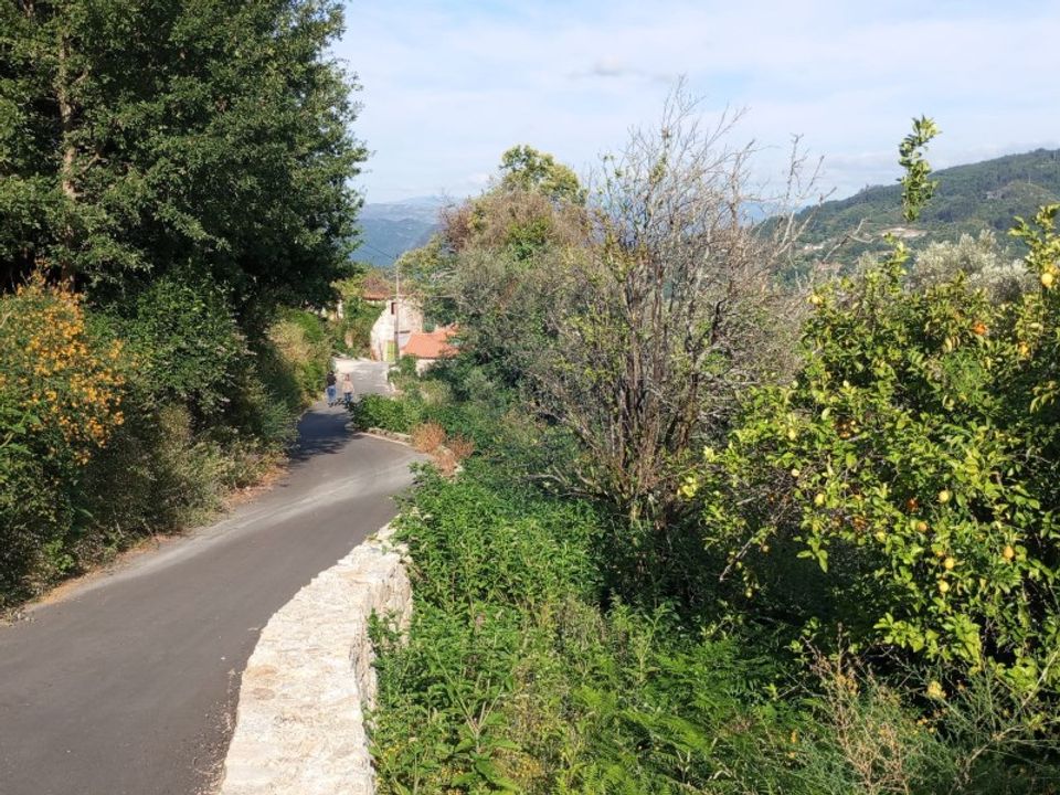 Landejendom i Arcos de Valdevez, Viana do Castelo - foto 3