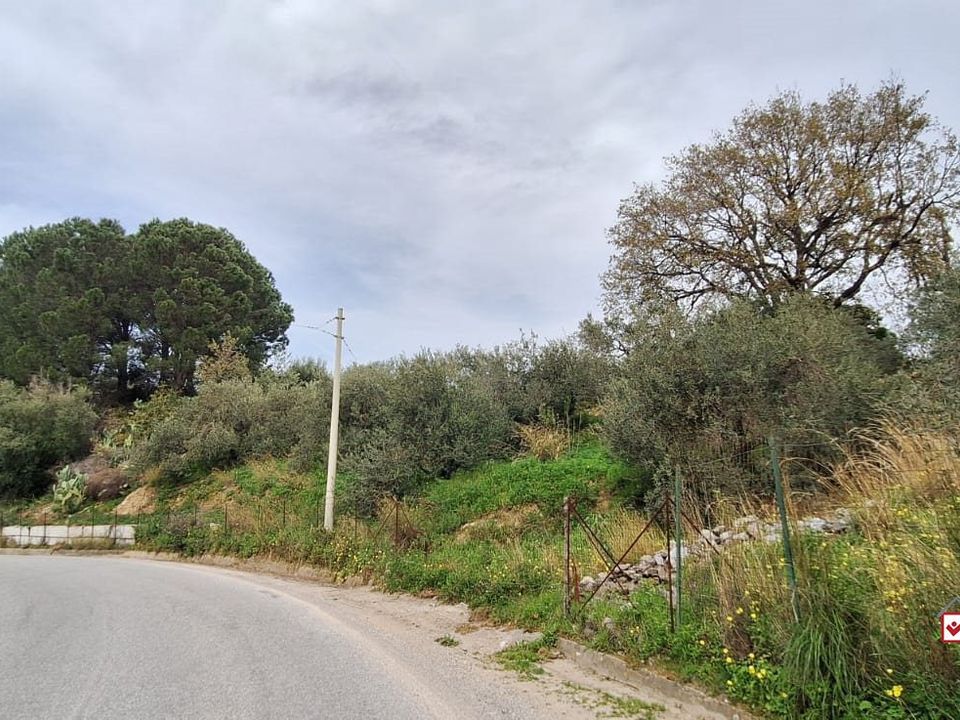 Tomt i Rometta, Messina - bilde 4