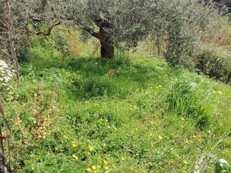 Tomt i Rometta, Messina - bilde 5