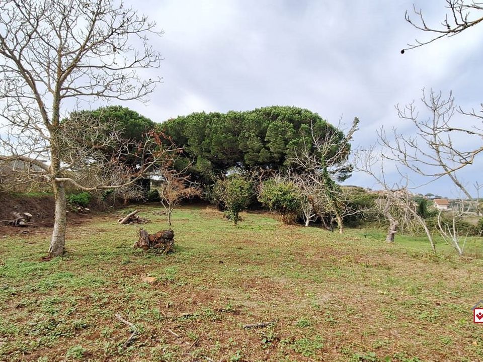 Grond in Messina, Messina - foto 5