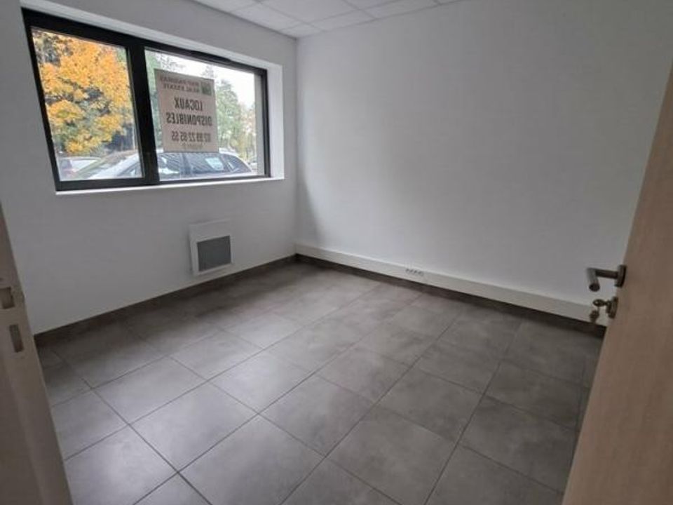 L'establiment comercial a La Mézière, Ille-et-Vilaine - foto 5