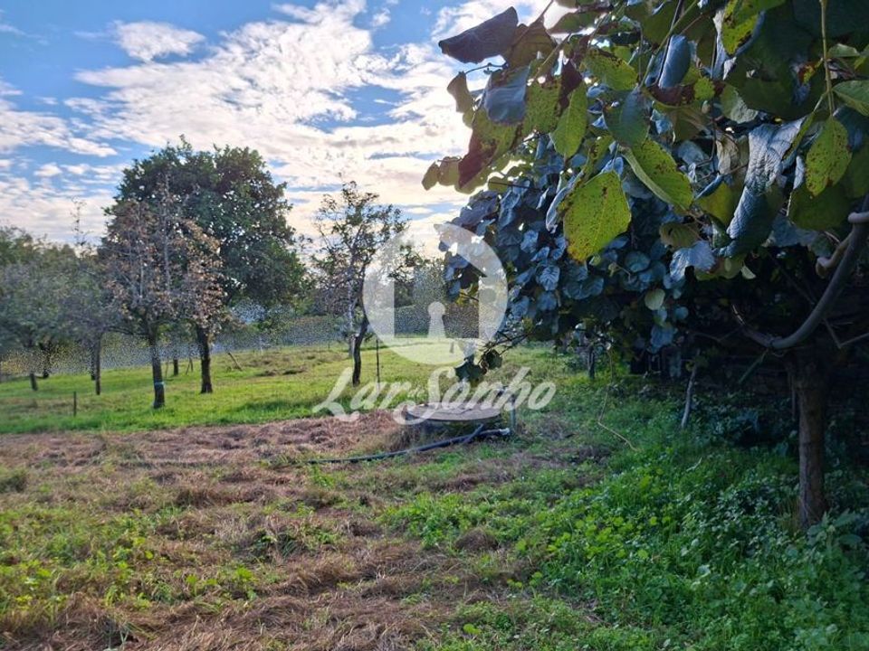 Helårsgrund i Barcelos, Braga - foto 3
