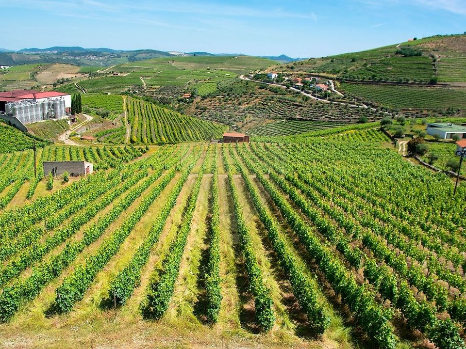 Farm hus i Sao Joao da Pesqueira, Viseu - foto 4
