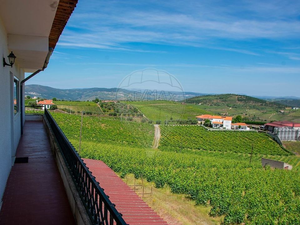 Farm hus i Sao Joao da Pesqueira, Viseu - foto 5