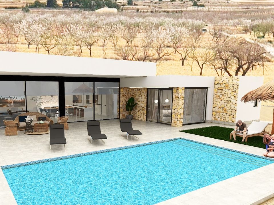 Villa i Pinoso, Alicante - foto 2