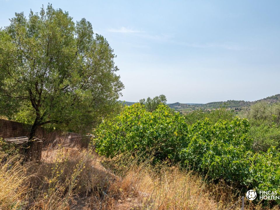 Helårsgrund i Alaro, Mallorca - foto 1