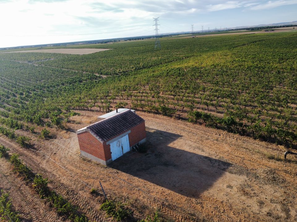 Helårsgrund i Rueda, Valladolid - foto 3