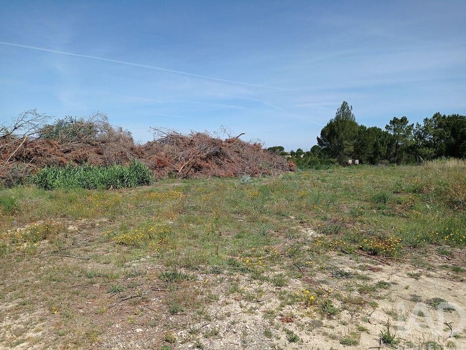 Helårsgrund i Tomar, Santarem - foto 3