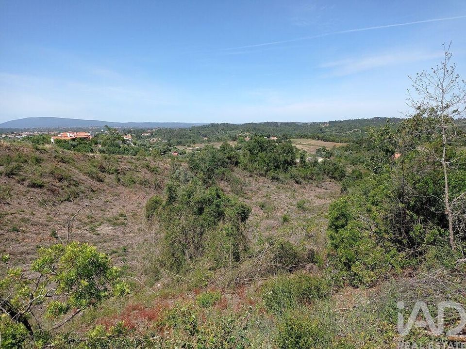 Helårsgrund i Tomar, Santarem - foto 4