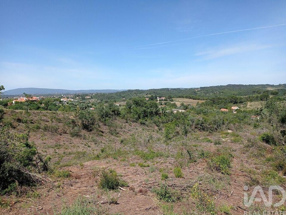 Helårsgrund i Tomar, Santarem - foto 5
