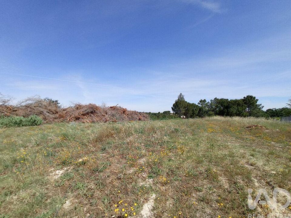 Terra em Tomar, Santarem - foto 1