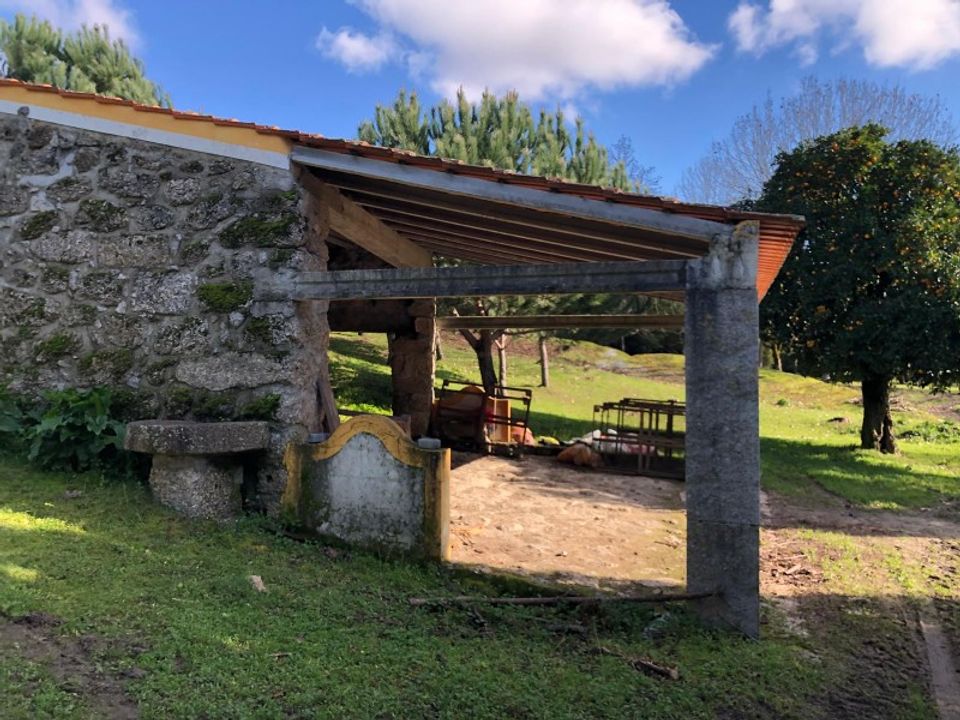 Farm i Carregal do Sal, Viseu - foto 2