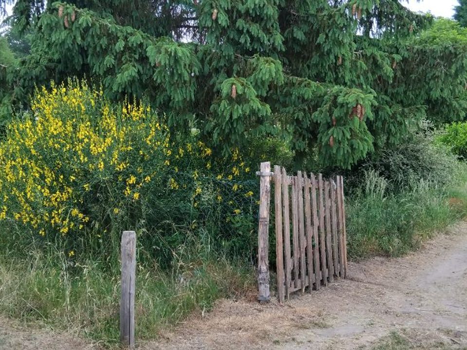 Helårsgrund i Les Bordes, Loiret - foto 1