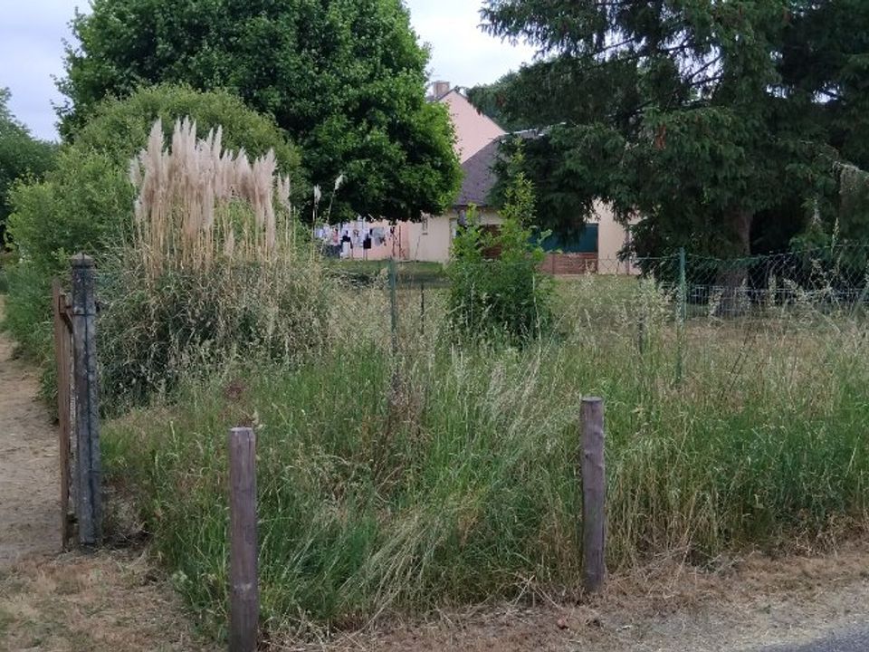 Helårsgrund i Les Bordes, Loiret - foto 2