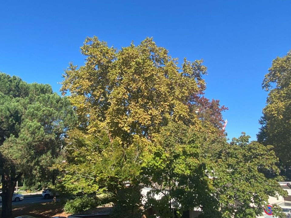 Lejlighed i Merignac, Gironde - foto 2