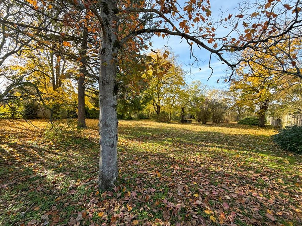 Villa i Saint-Clément, Yonne - foto 4