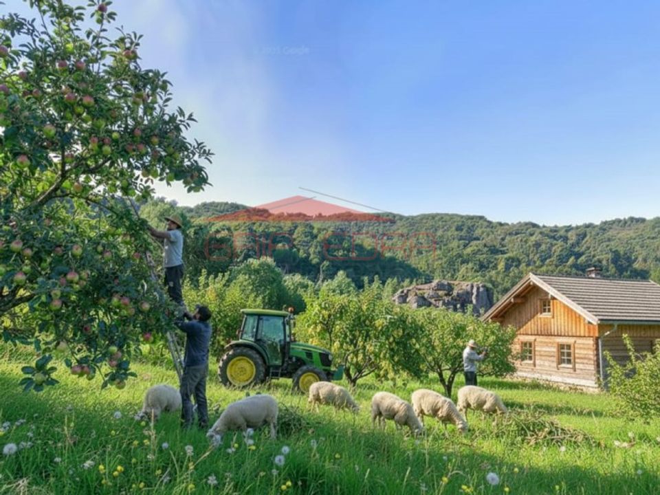 Helårsgrund i Cinfaes, Viseu - foto 1