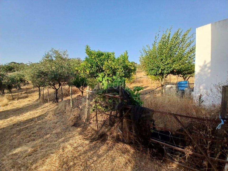 Helårsgrund i Vila Vicosa, Evora - foto 5