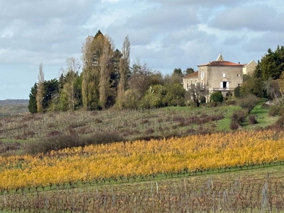 Farm i Castelviel, Gironde - foto 1