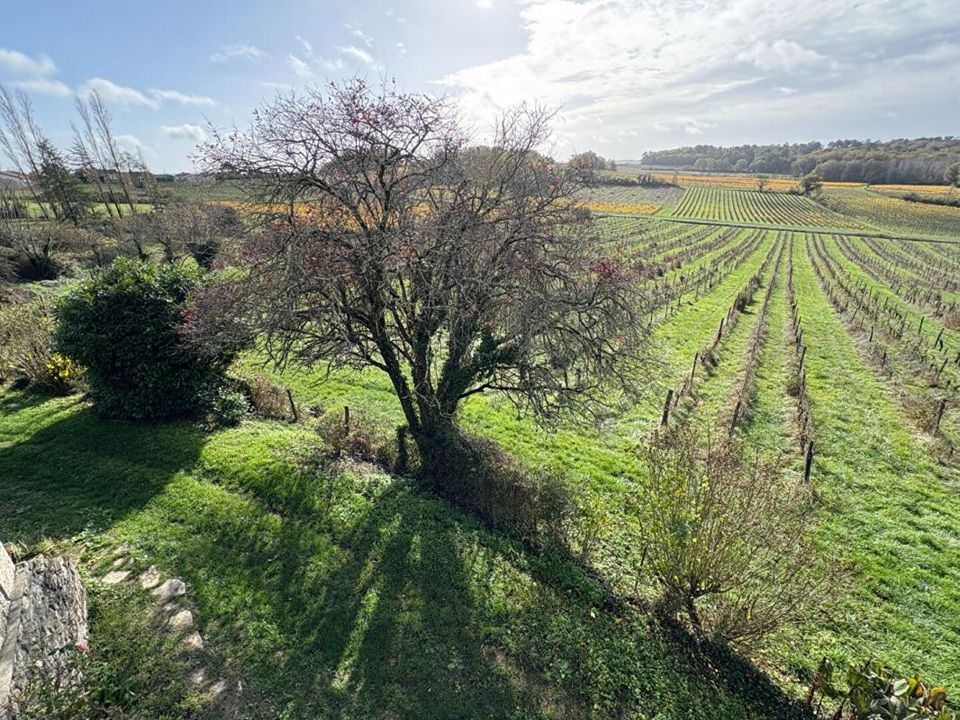 Farm i Castelviel, Gironde - foto 2