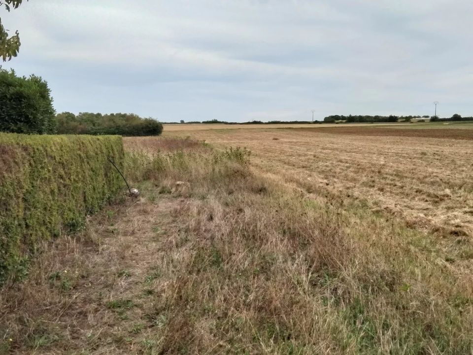 Helårsgrund i Yversay, Vienne - foto 5