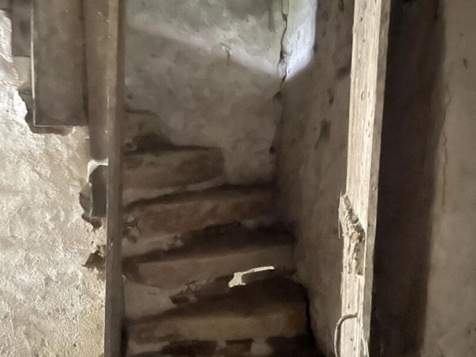 Villa i Saint-Lumine-de-Clisson, Loire-Atlantique - foto 4