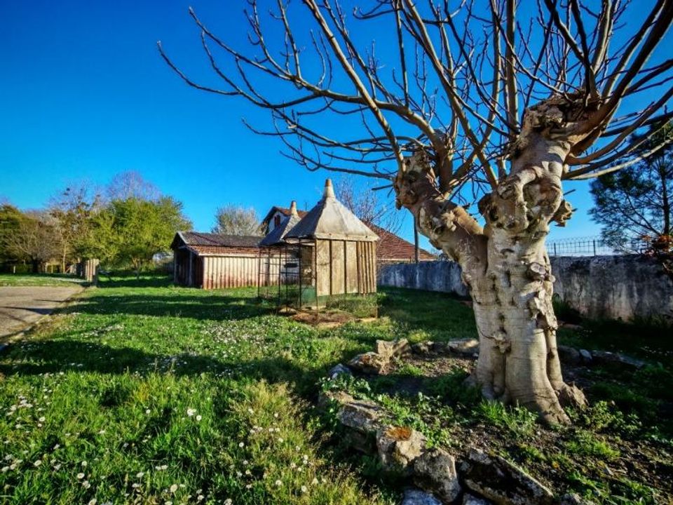 Villa i Pontonx-sur-l'Adour, Landes - bilde 1